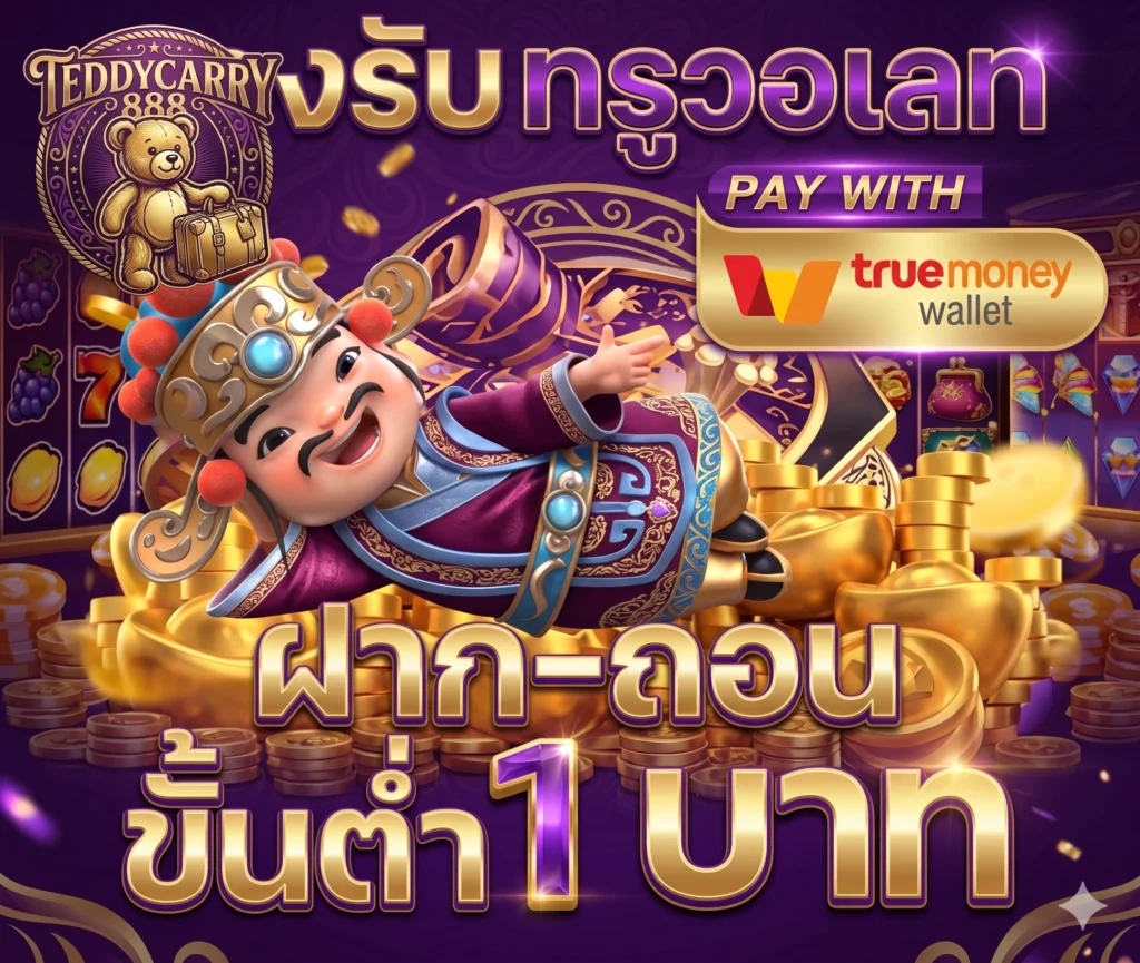 จุดเด่นของ teddycarry888